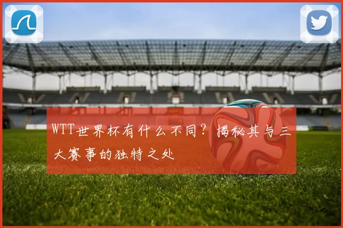 WTT世界杯有什么不同?揭秘其与三大赛事的独特之处
