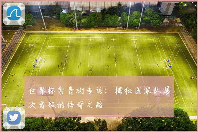 世界杯常青树专访:揭秘国家队屡次晋级的传奇之路