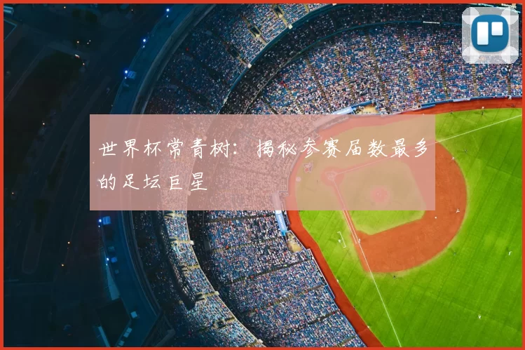 世界杯常青树:揭秘参赛届数最多的足坛巨星