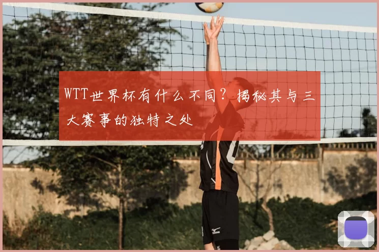 WTT世界杯有什么不同?揭秘其与三大赛事的独特之处