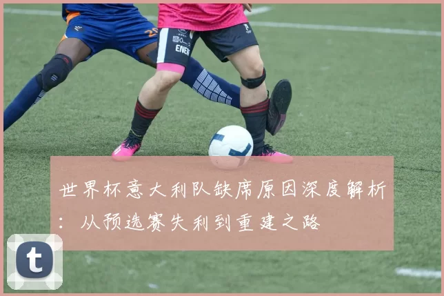 世界杯意大利队缺席原因深度解析:从预选赛失利到重建之路